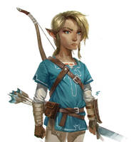 Link