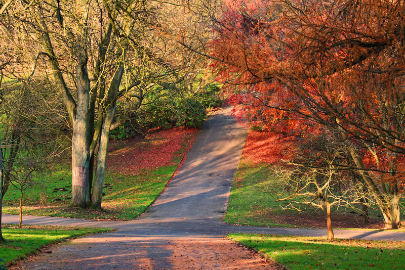 Color Ful Path Colorful Path by SpellpearlArts on DeviantArt