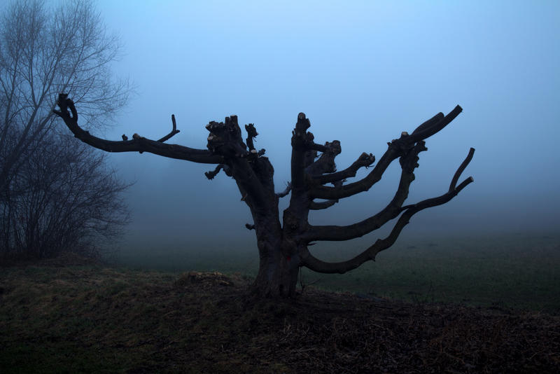 Foggy Landscape 6 by SpellpearlArts