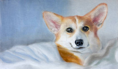 Bobbi - Corgi in Pastel (Commissioned)