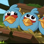 Angry Birds - :-(
