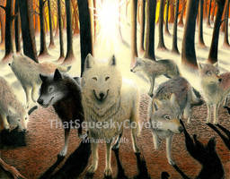 The Wolf Pack at Twilight