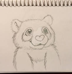 Panda Character Sketch