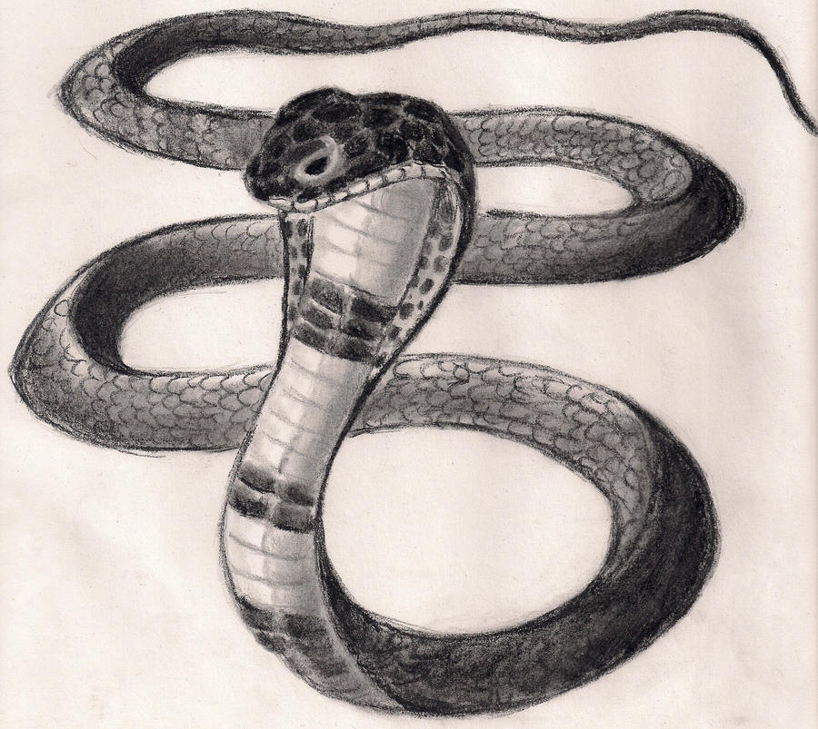 Slithering Snake by paranoiaPRODIGY on DeviantArt