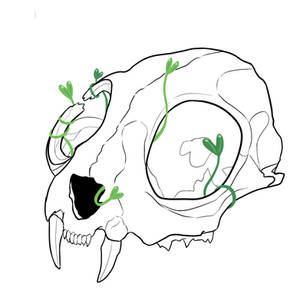 Cat skull tattoo concept