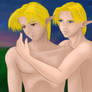 Scars - Link and Sheik