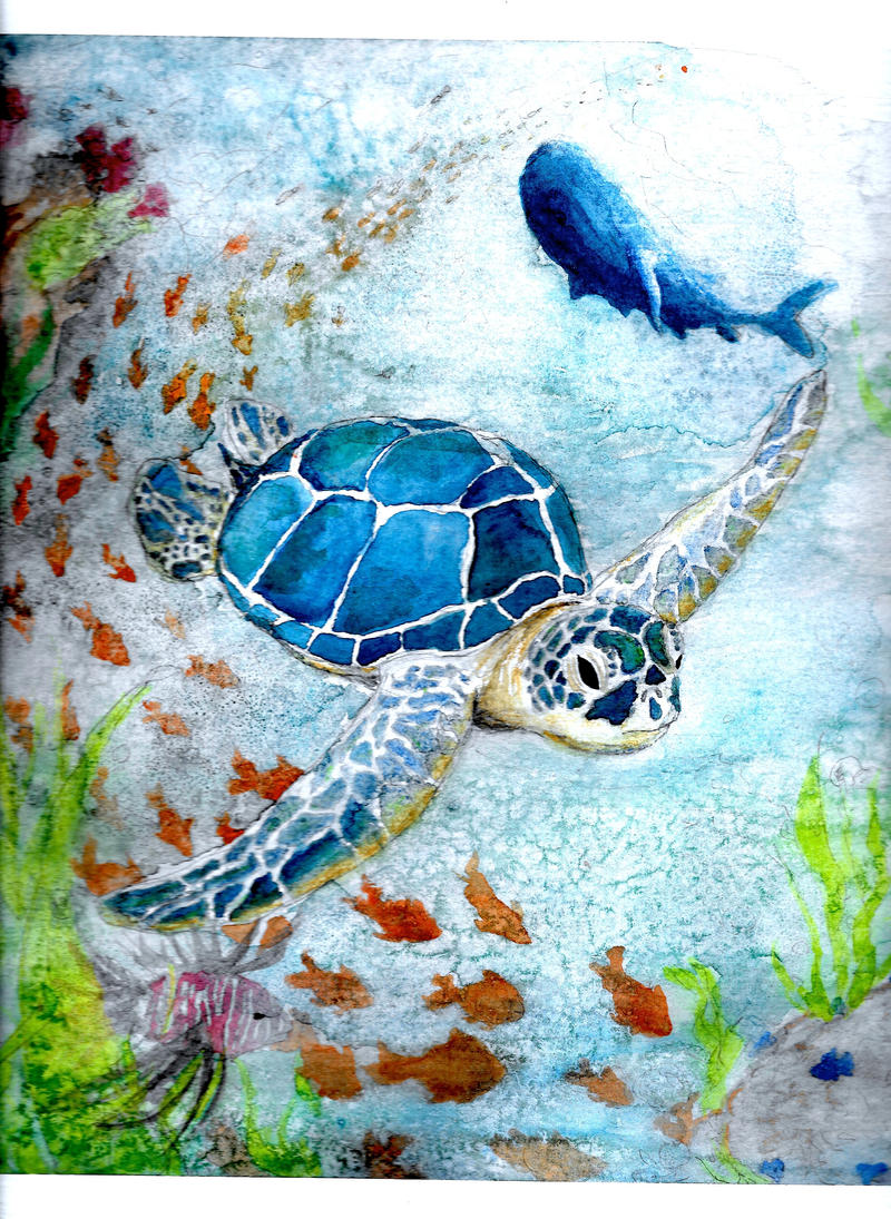 SEATURTLE