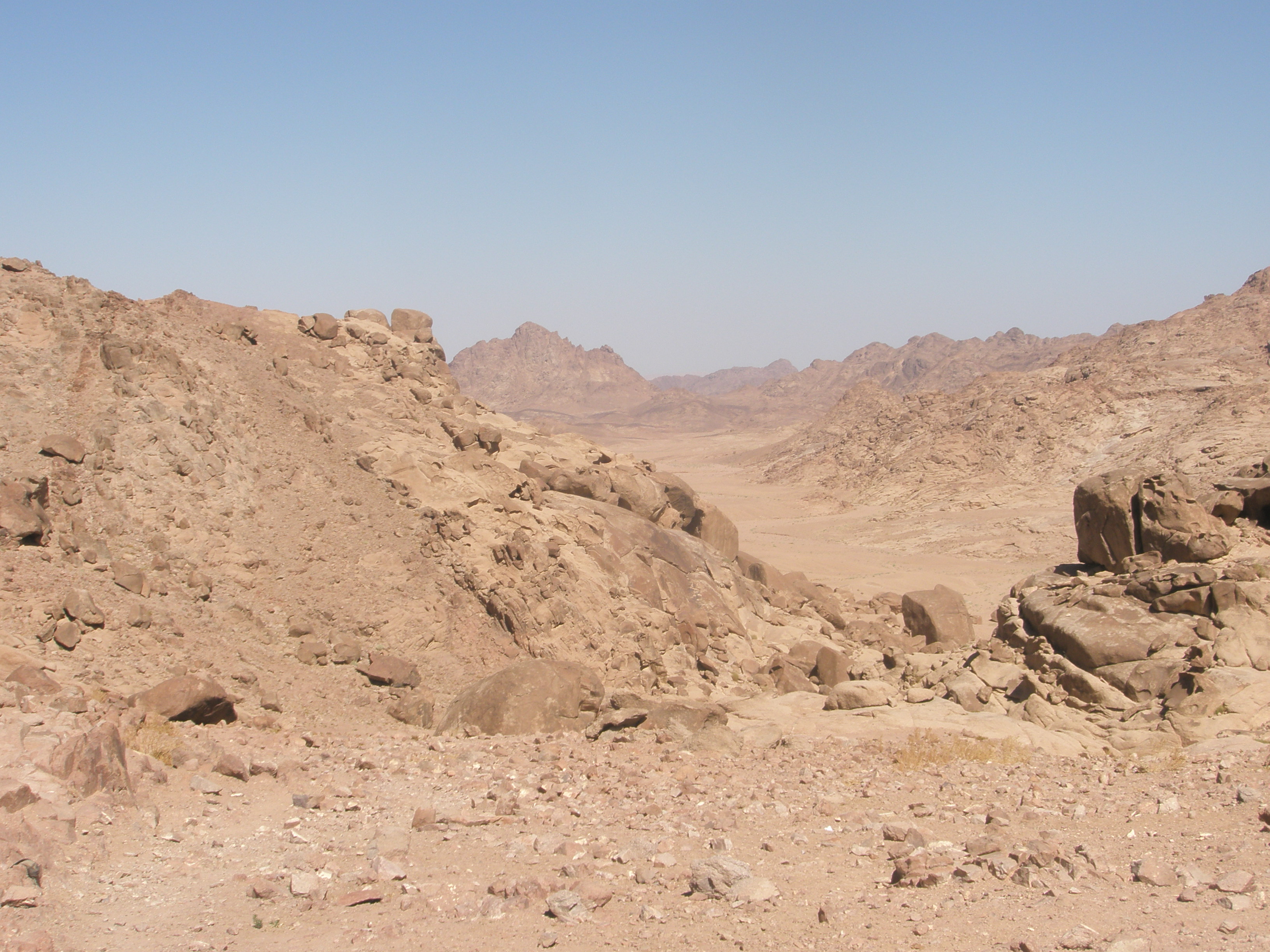 Sinai Landscape