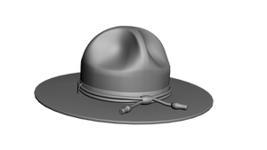 Campaign Hat 3d Model