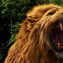 ASLAN