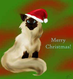 Christmas Cat