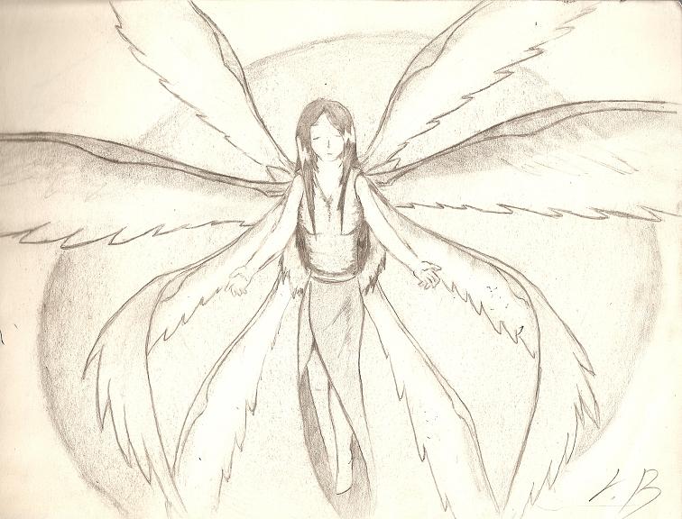 Multi Wings Multi Wings