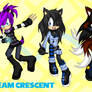 .:COM 1.2:. Team Crescent