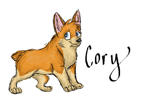 Cory the corgi