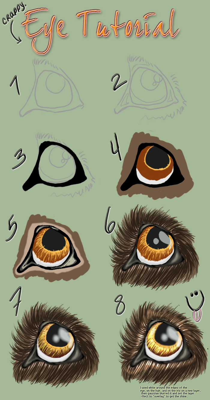 Simple Canine Eye Tutorial