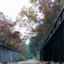 Bridge In Fall