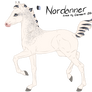 6541 The White Wolf (Foal Reference)