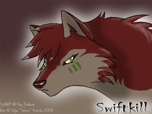 Swiftkill .:fanart for Kay:.