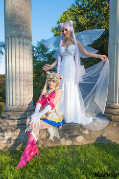 Sailor Moon and Queen Serenity