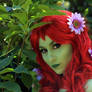 Poison Ivy