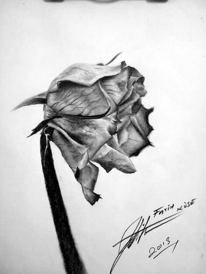 My Work .. ( Dead Rose.. ) By Plainwhite-92 On Deviantart