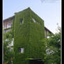 Green Hotel