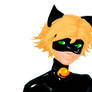 Le Chat Noir