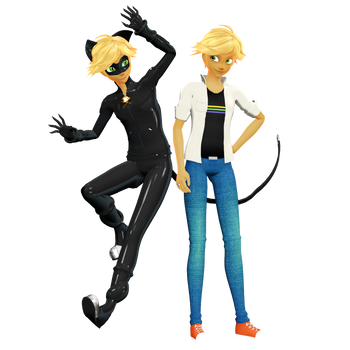 Miraculous Adrien And Cat Noir Dolls IN BOX by SugaLawliet on