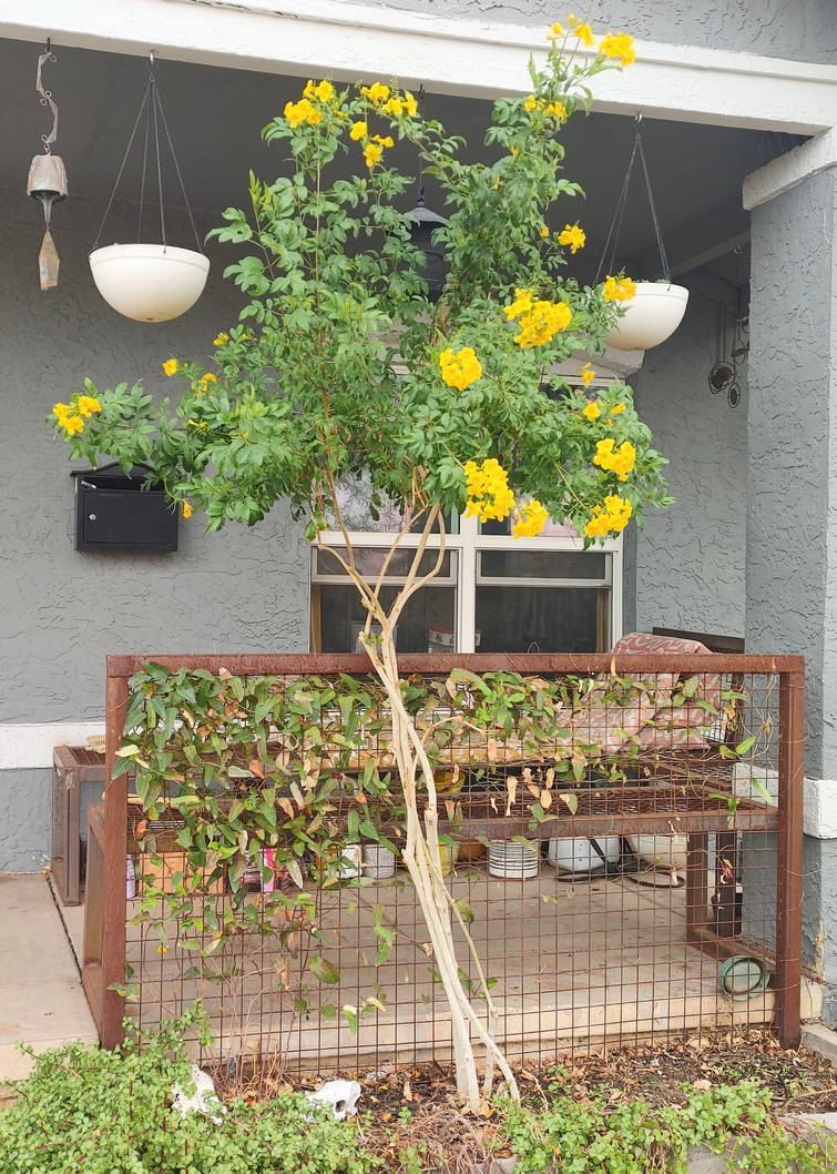 Symetrical Mailbox Setup By Kipporah On DeviantArt symetrical-mailbox-setup-by-kipporah-on-deviantart