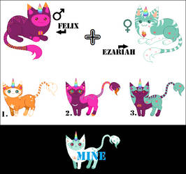 Felix X Ezariah Unicat Batch 3 - Open