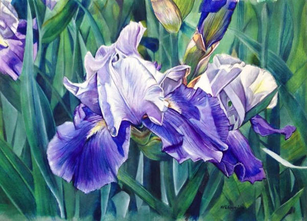 Untitlted Iris #4