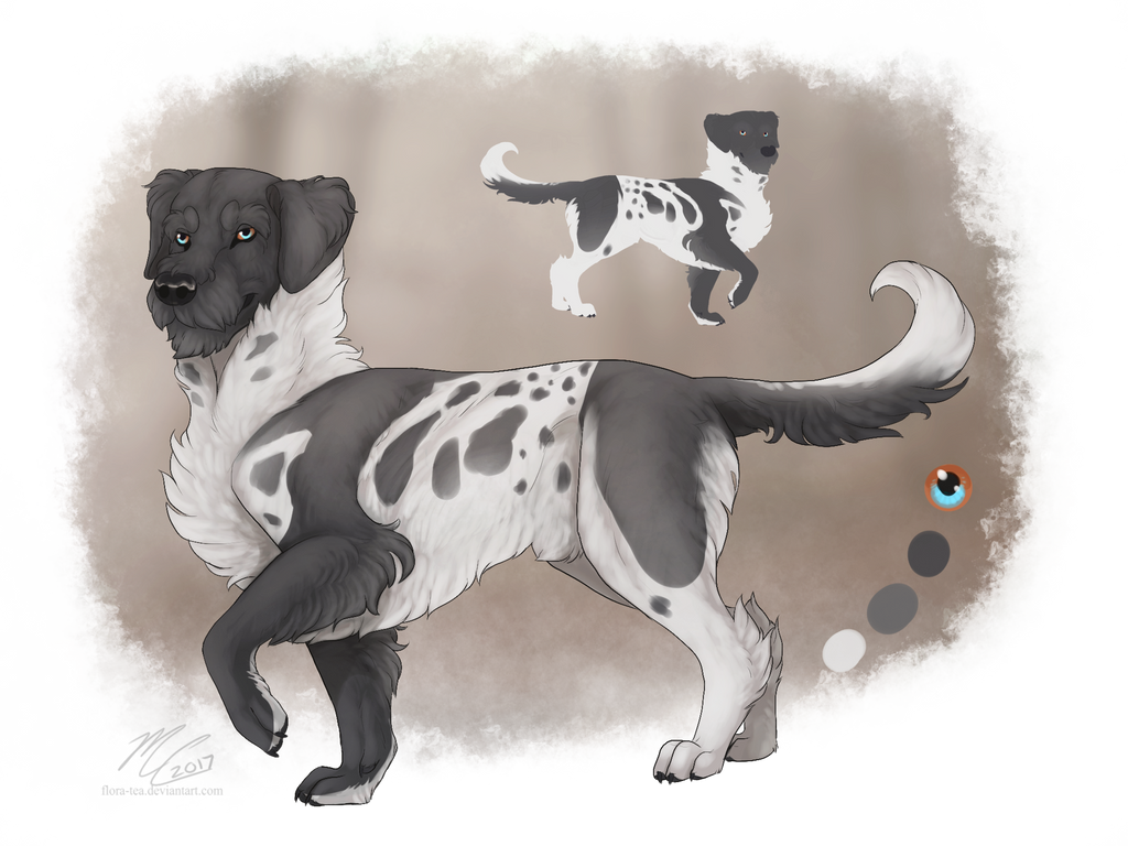 closed adopt Poodle Dalmation mix by Flora Tea on DeviantArt