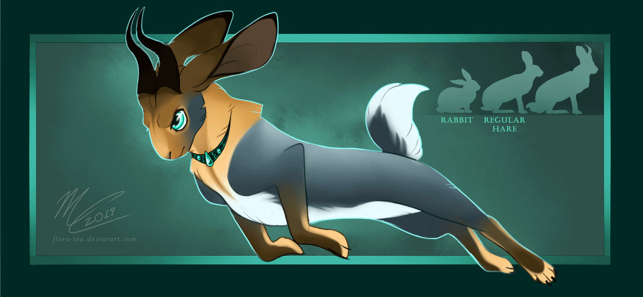 The Jackalope by Flora-Tea on DeviantArt