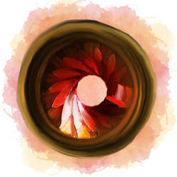 Aperture Flower