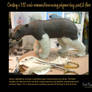 Creating a 1:12 scale armoured bear #10