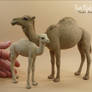 Miniature 1:12 scale Arabian Camel and Calf