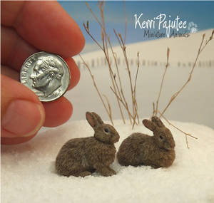 Miniature 1:12 Cottontail rabbit sculptures