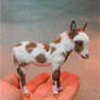 Miniature Spotted Burro Foal sculpture