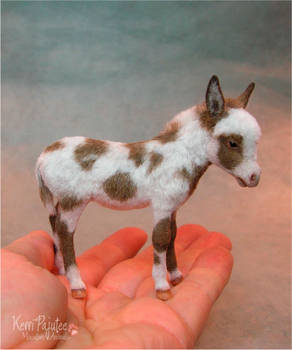 Miniature Spotted Burro Foal sculpture