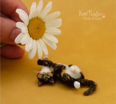 Flipflop Calico Kitten Sculpture 1:9 scale