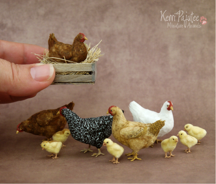 Just Some miniature Chickens