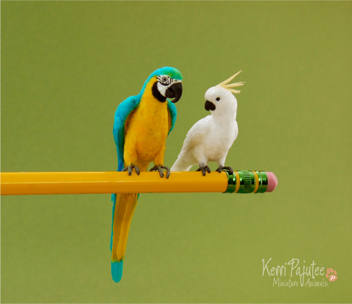 Miniature Parrot sculpts by Pajutee Miniature Parrot sculpts by Pajutee