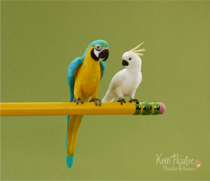 Miniature Parrot sculpts