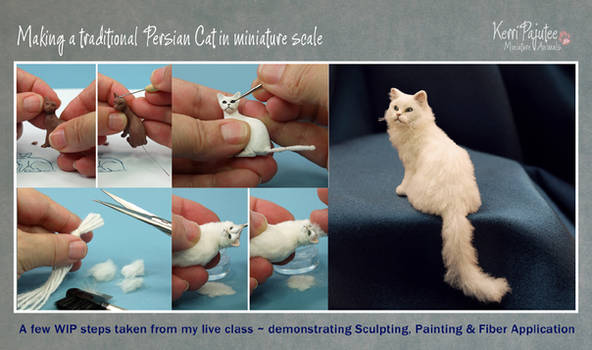 WIP Miniature Persian Cat