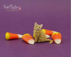 Trick or treat? Miniature Kitten sculpture...