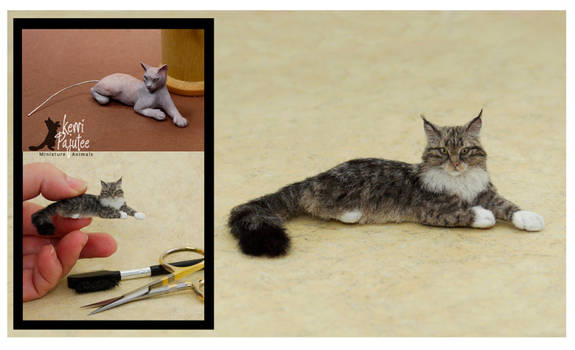 Miniature Maine Coon Sculpt - Before and After