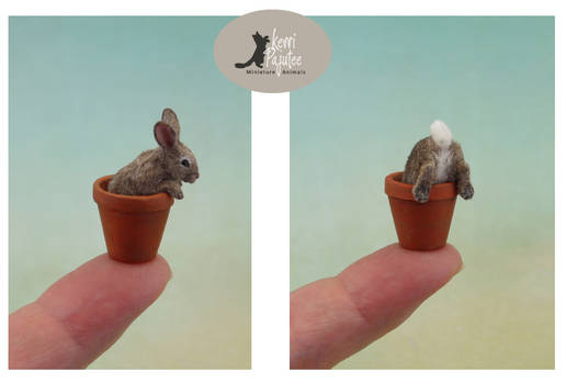 Tiny Cottontail rabbit sculptures