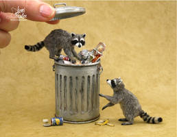 Trash Pandas