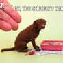 Crazy for Kitty Roca Chocolate Lab sculpture