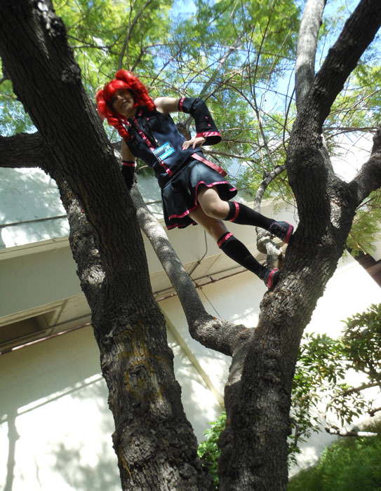 Teto in a Tree 2